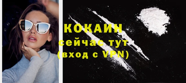 стаф Балахна